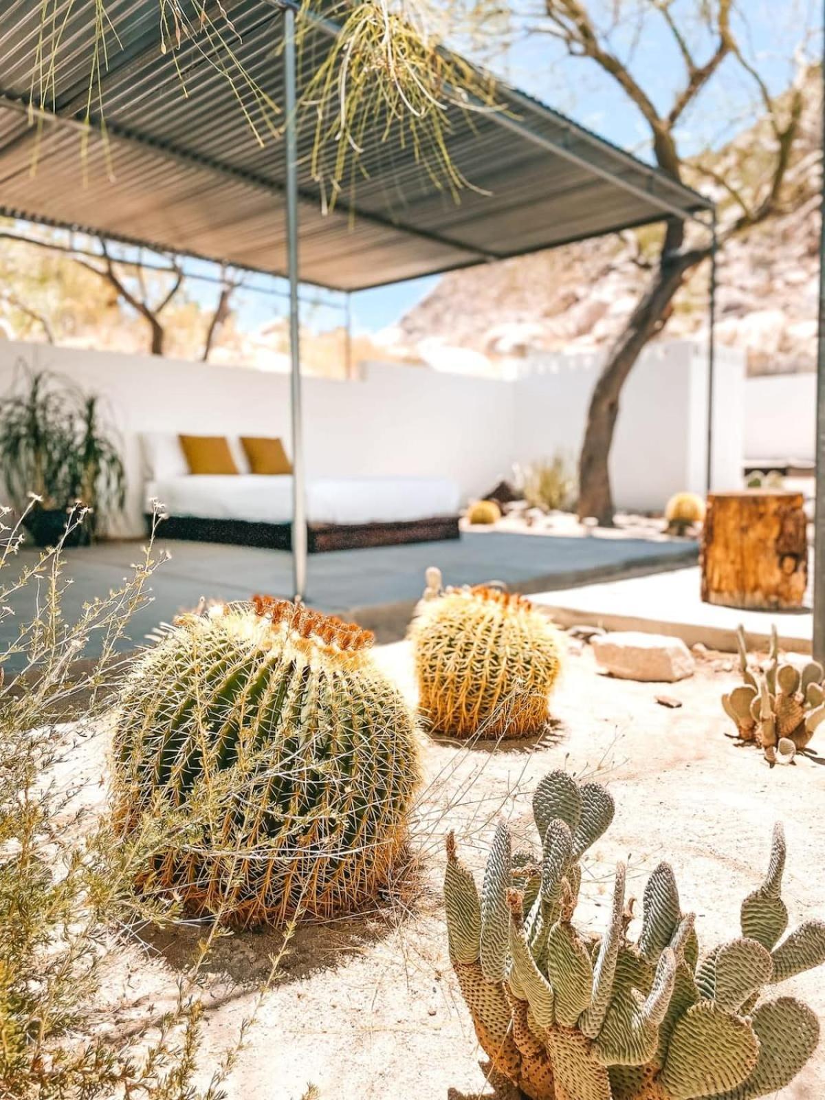Andrea Zittel'S Joshua Tree Home A Z West House Экстерьер фото
